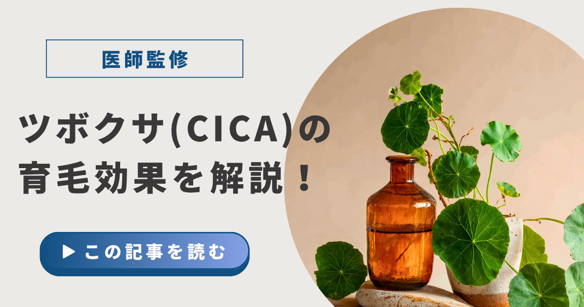 ツボクサの育毛効果アイキャッチ